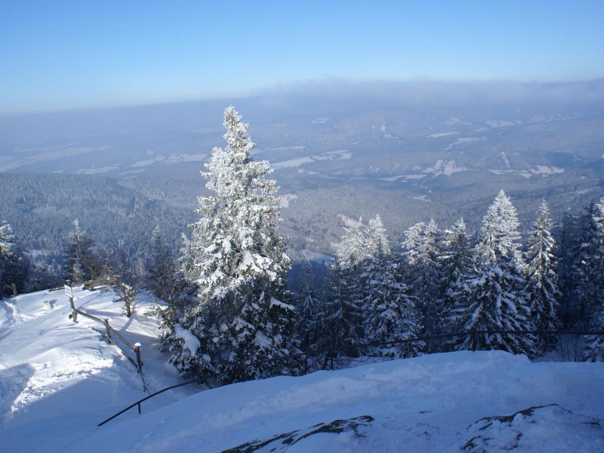 Lovely Holiday Home In Viechtach Near The Forest Ngoại thất bức ảnh